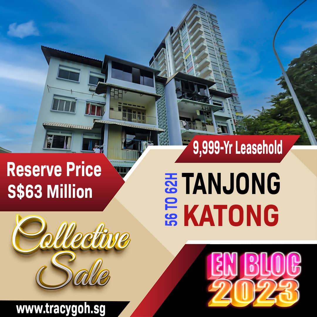 56 to 62H Tanjong Katong Road Collective Sale 2023 Instagram 56 to 62H Tanjong Katong Road Collective Sale 2023 Instagram