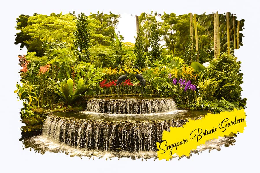 Attractions Singapore Botanic Gardens Attractions Nearby Singapore Botanic Gardens