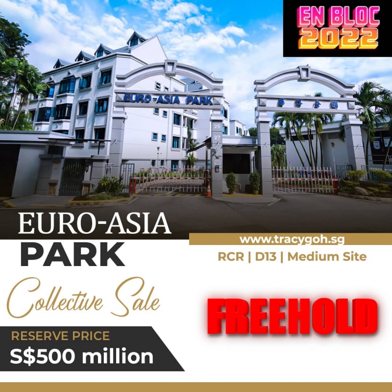EuroAsia Park En Bloc Sale 2022 Freehold D13 (RCR)