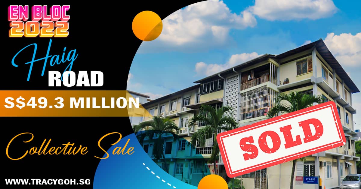 Haig Road Sold En Bloc To Nanshan Group Facebook
