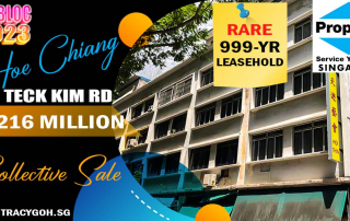 Hoe Chiang & Lim Teck Kim Road Site Collective Sale 2023 Facebook