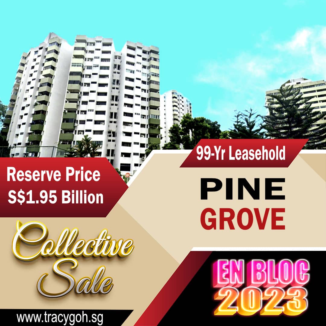 Pine Grove En Bloc 2023 Ulu Pandan Collective Sale Instagram Pine Grove En Bloc 2023 Ulu Pandan Collective Sale Instagram