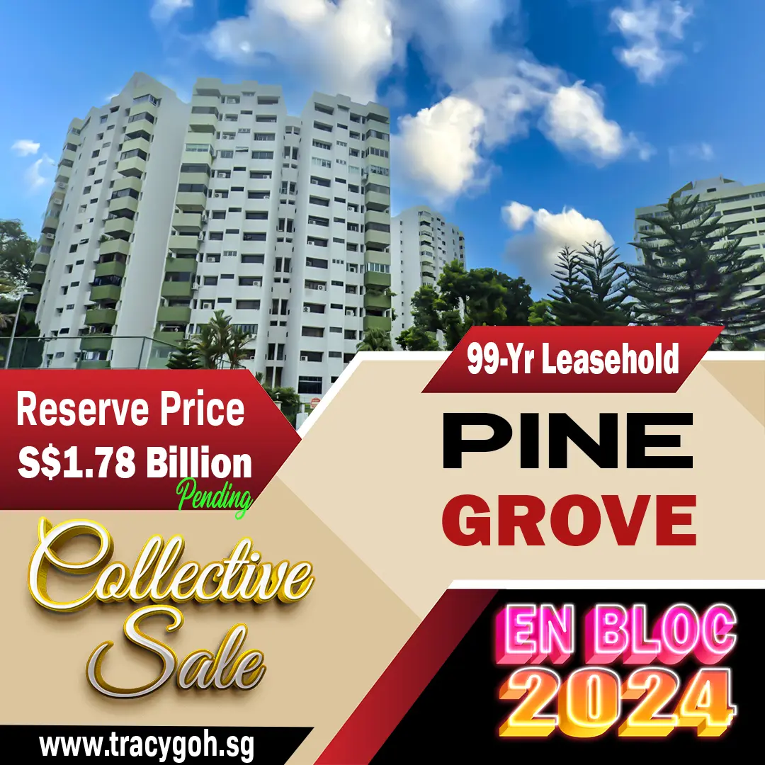 Pine Grove Owners Target 2024 for Collective Sale Relaunch