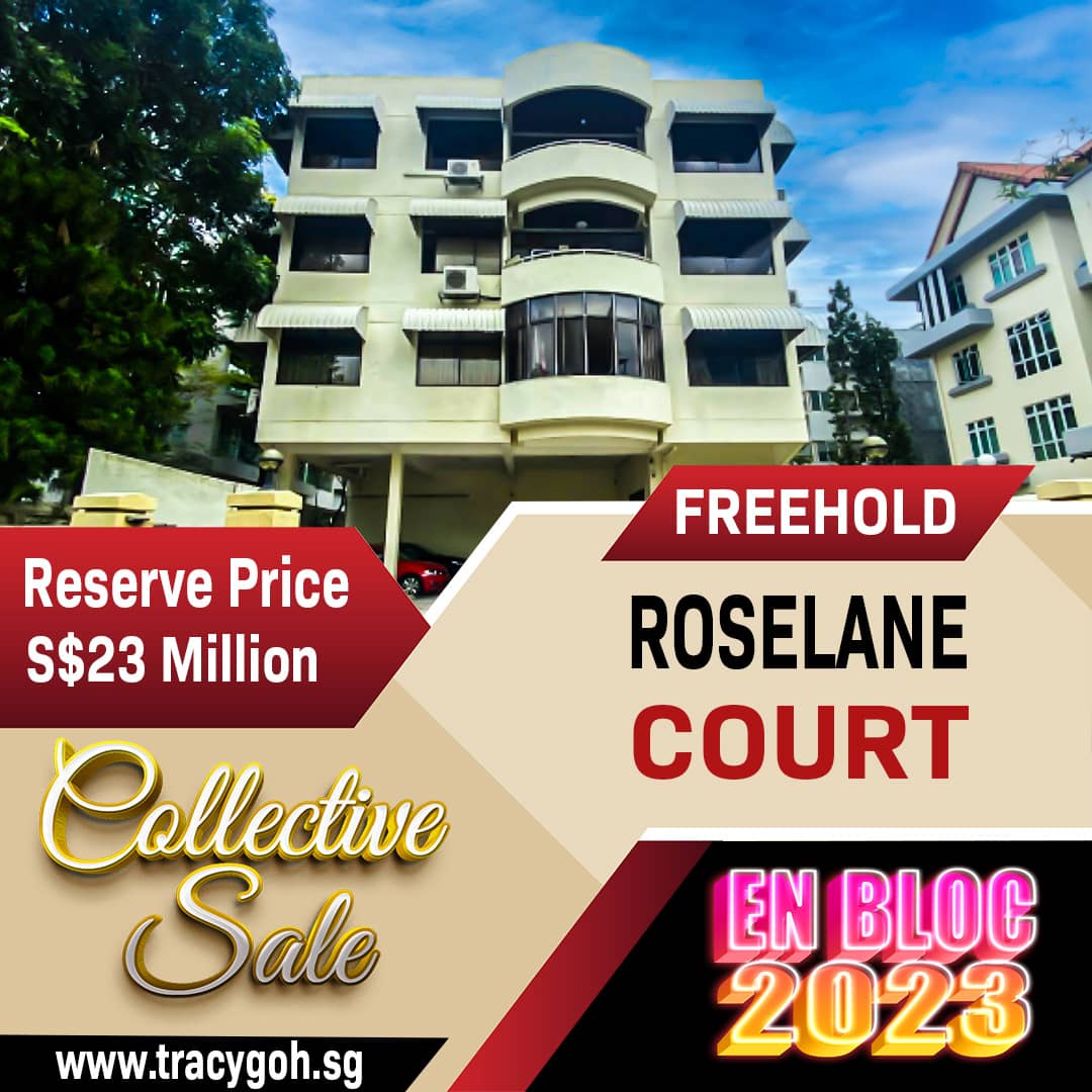 Roselane Court En Bloc Sale 2023 – Freehold D15 Instagram