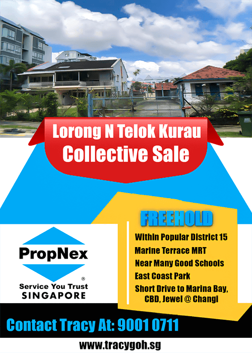 Lorong N Telok Kurau Collective Sale Banner PropNex Singapore