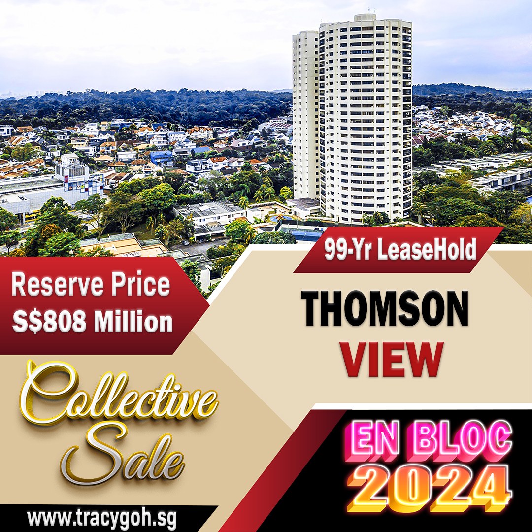 Thomson View Owners Lower Reserve Price